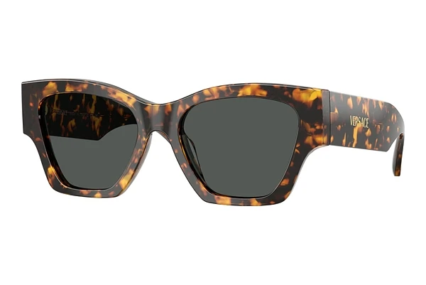 Sunglasses Versace VE4492U 551487