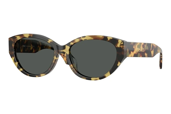 Sunglasses Versace VE4495D 777/87