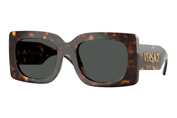 Sunglasses Versace VE4496U 108/87