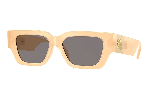 Sunglasses Versace VE4497U 554473