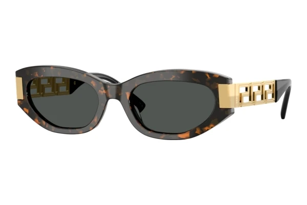 Sunglasses Versace VE4501 552887