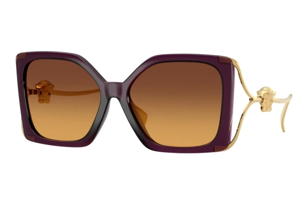 Sunglasses Versace VE4502U 5536T5