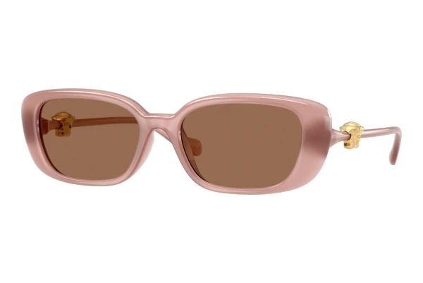 Sunglasses Versace VE4504D 553573