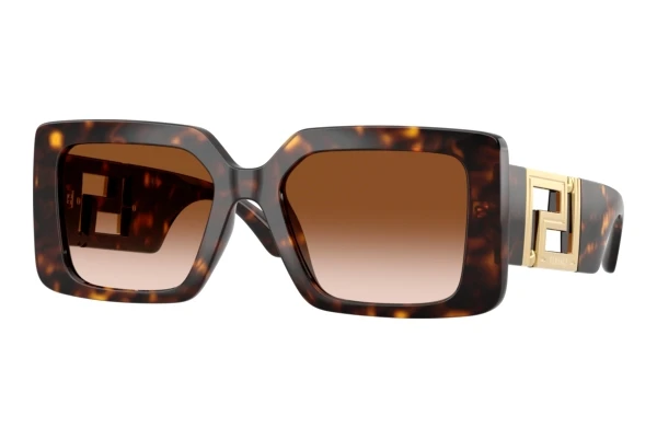 Sunglasses Versace VE4505U 108/13