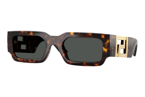 Sunglasses Versace VE4506U 108/87