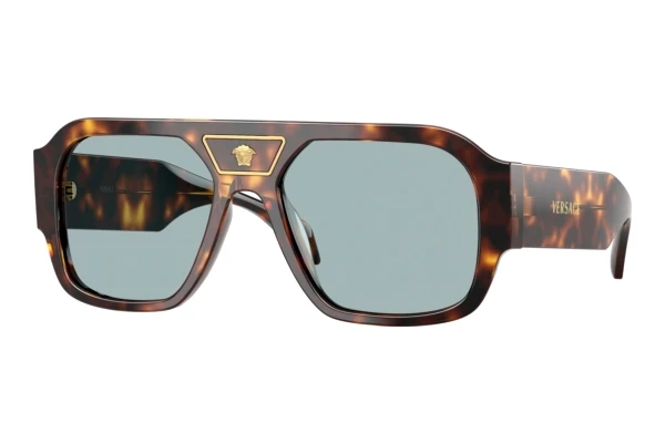 Sunglasses Versace VE4508U 553780