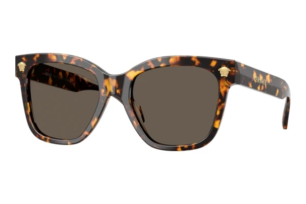 Sunglasses Versace VE4511 5514/3