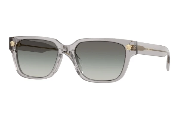 Sunglasses Versace VE4513D 593/11
