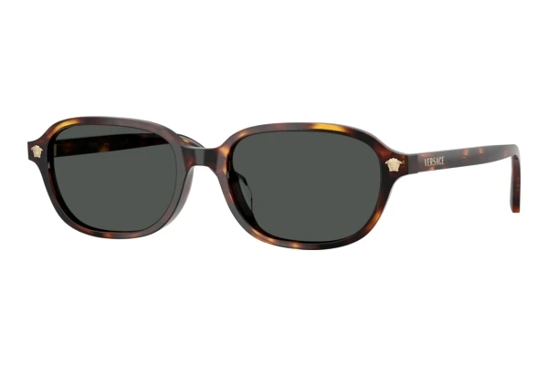 Sunglasses Versace VE4514D 553773