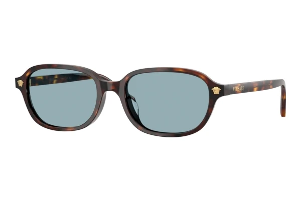 Sunglasses Versace VE4514D 553780