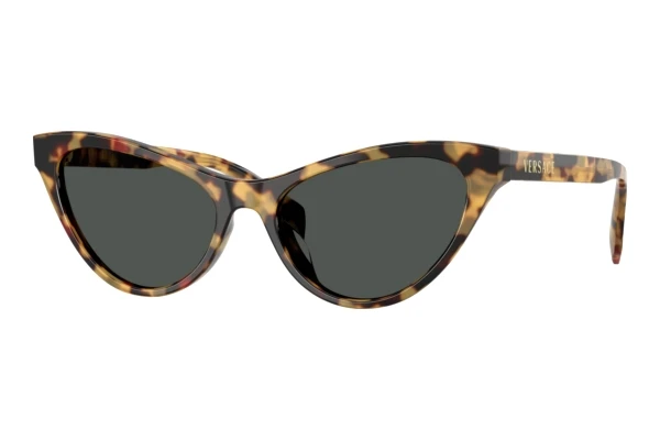 Sunglasses Versace VE4522U 777/87