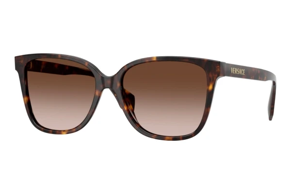 Sunglasses Versace VE4523 108/13