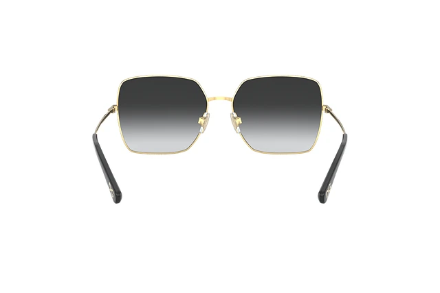 Dolce & Gabbana DG 2242 13348G