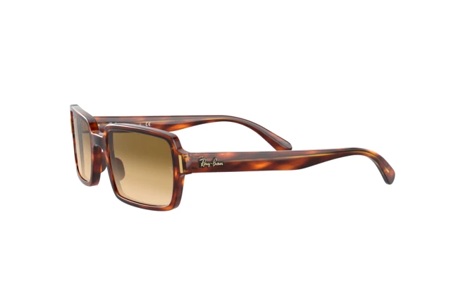 Ray-Ban BENJI RB 2189 954/51