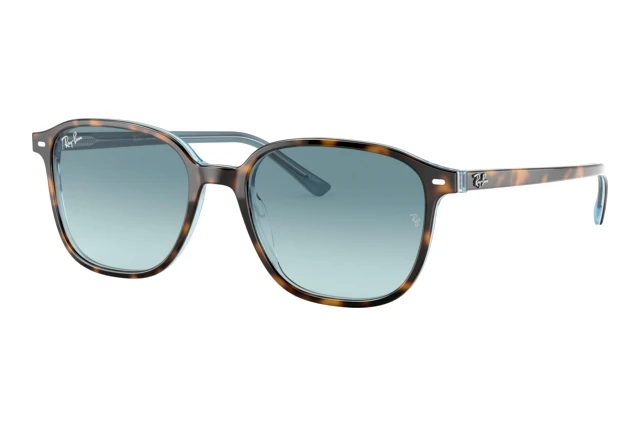 Ray-Ban LEONARD RB 2193 13163M
