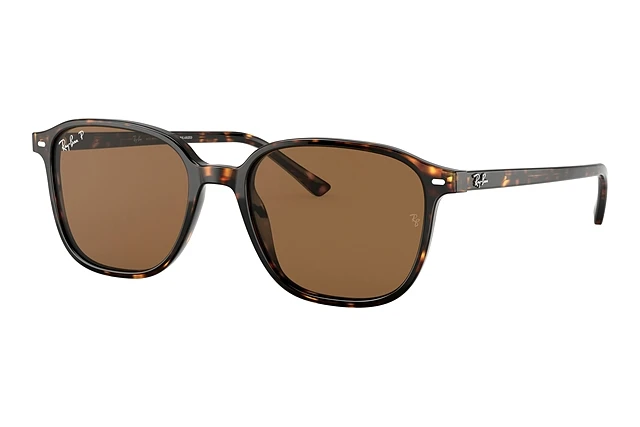 Ray-Ban LEONARD RB 2193 902/57