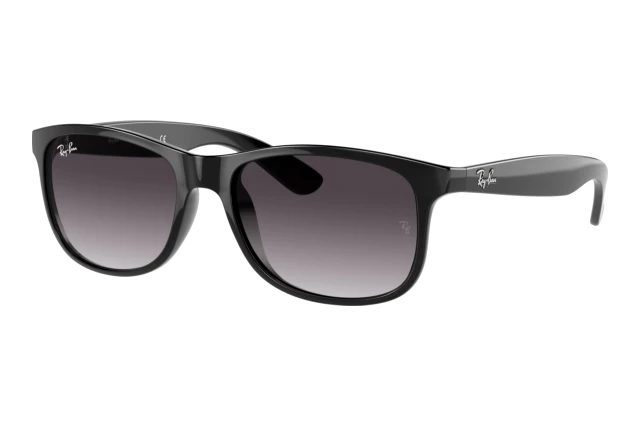 rb 4202 ray ban