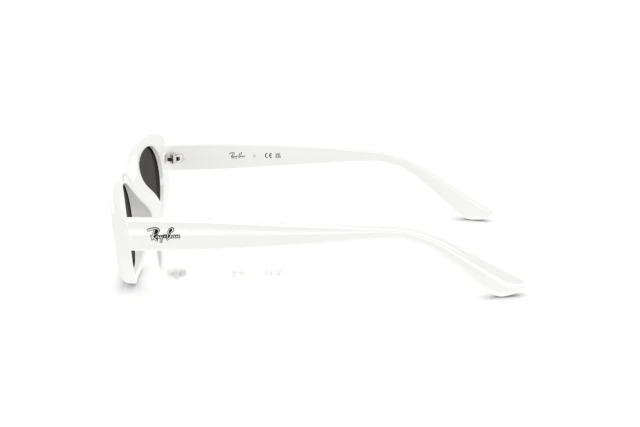 Ray-Ban RB 4441D 677287