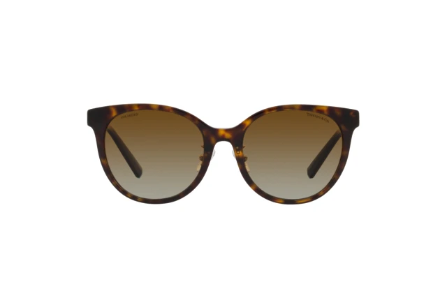 Tiffany TF 4209D 8015T5
